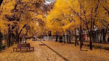 Chaharbagh Street, Chaharbagh Neighborhood, Isfahan